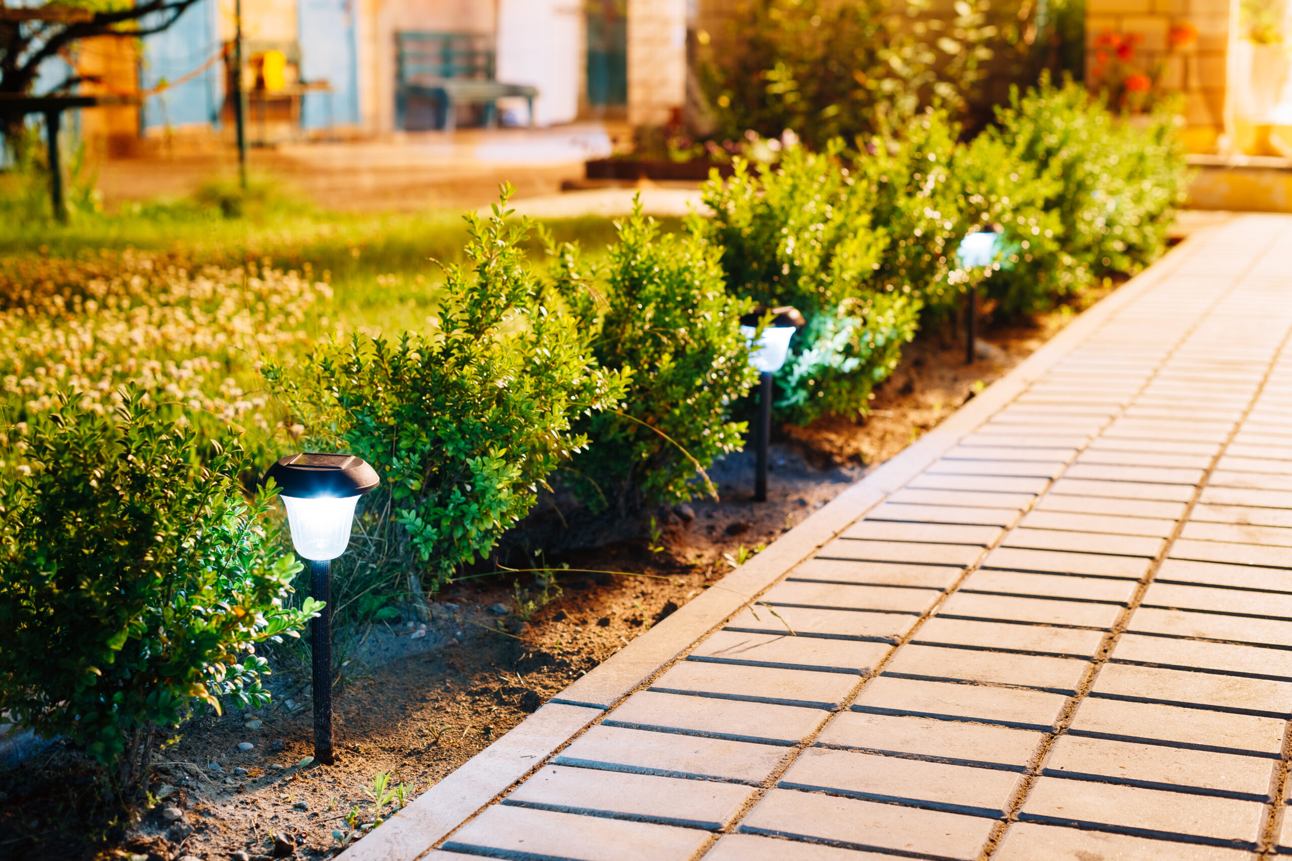 LED path lights along outdoor walkway.